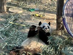 -西霞口神雕山野生动物世界