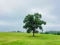 -良渚古城遗址公园