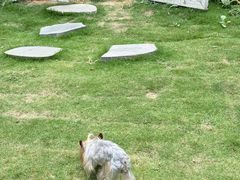 -里堂派对·独栋团建聚会小院轰趴馆(三圣乡店)
