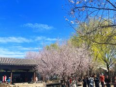 -春风习习