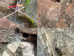 -黄崖洞文化旅游区