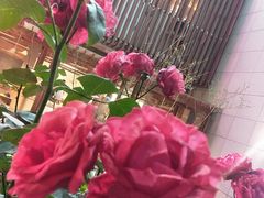 -雾漫川城重庆火锅(上和商业广场店)