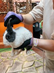 -卡通尼·Safari非洲探索乐园·生日会(金桥国际商业广场店)