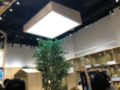 -屋虎猫馆(宝安大仟里店)