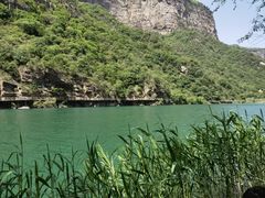 -千稻剁椒大鱼头(CityOn熙地港店)