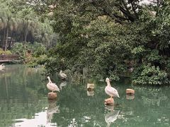 -广州动物园
