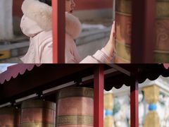 -护国法轮寺