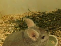 -龙猫仔乐园(惠福东路店)