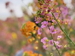 -中国天府农业博览园