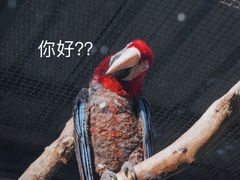 -上方山森林动物世界