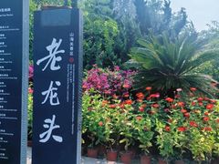-老龙头景区