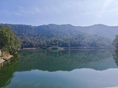 -桃花岭景区