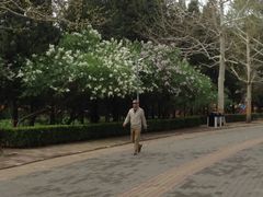 -朝阳公园游乐园