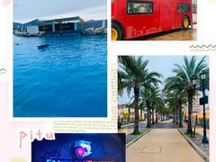 -三亚海昌梦幻海洋不夜城