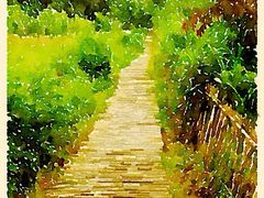 花溪十里河滩湿地公园-贵阳市花溪国家城市湿地公园