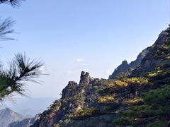 -桐村排档·清水活鱼现烧