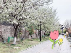 -相门城墙文化休闲景区