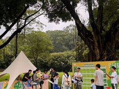 -莲花山公园