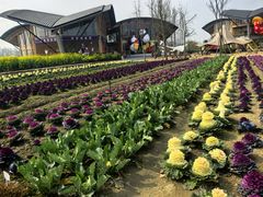 -中国天府农业博览园