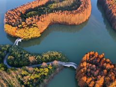 -上海海湾国家森林公园