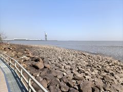 -上海吴淞炮台湾国家湿地公园