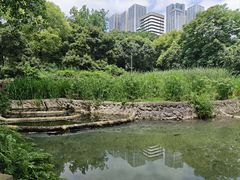 -成都市活水公园