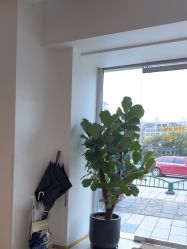 -WENDY·温迪皮肤管理