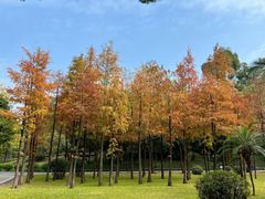 -晓港公园