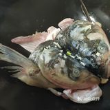美白又养颜的元气鱼头豆腐汤。