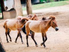 -杭州野生动物世界