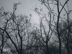 -井塘古村