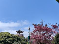 -梧桐山风景名胜区