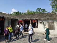 -溱湖国家湿地公园