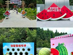 -玉苍山国家森林公园