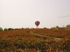 -歌斐颂巧克力小镇