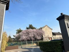 -稻香村(雍和宫大街店)