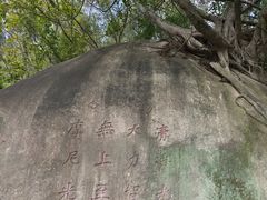 -草庵摩尼教遗址公园