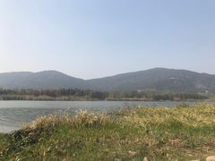 -长广溪湿地公园