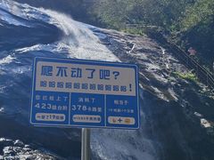 -青峰峡国家森林公园