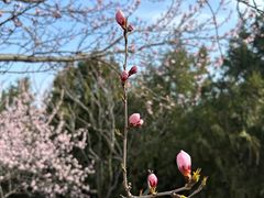 -北宫国家森林公园