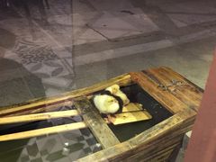 -大理岛·精品云南菜·音乐餐厅
