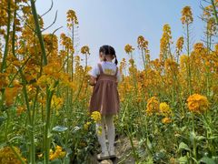 -中国天府农业博览园