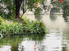 -荔湾湖公园