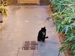 -秋果四合院酒店(北京王府井协和医院店)