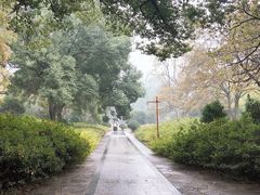 -东湖磨山景区