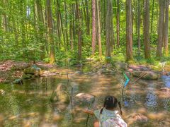 -上海共青森林公园