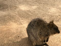 -费瑟代尔野生动物园