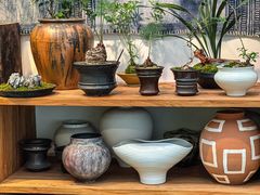 -自由生长植物工作室(深港花卉中心店)