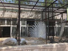 -保定市动物园