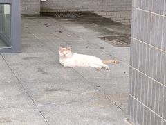 -江南大学(蠡湖校区)